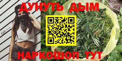 прущие грибы Будённовск