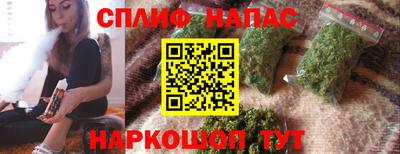 прущие грибы Будённовск