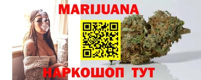 прущие грибы Будённовск
