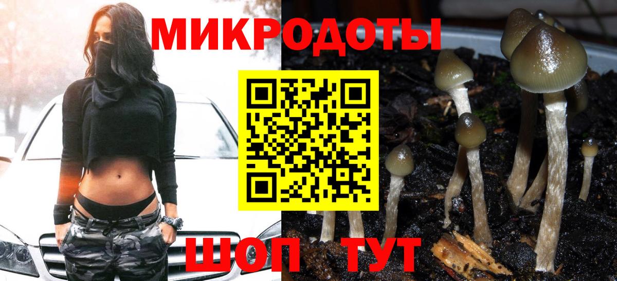 Галлюциногенные грибы мицелий Электрогорск