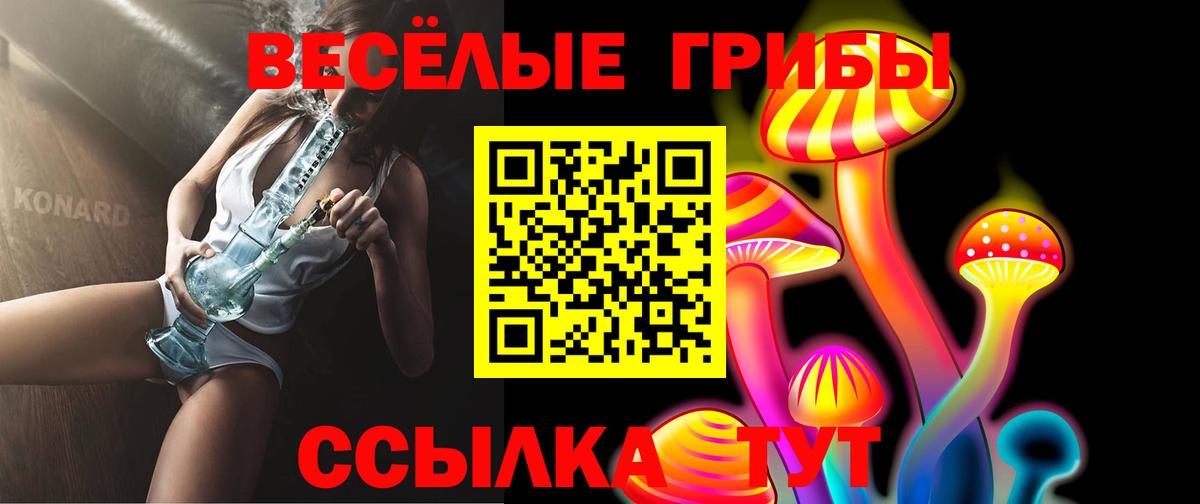Электрогорск  Псилоцибиновые грибы Magic Shrooms  Вход с VPN 